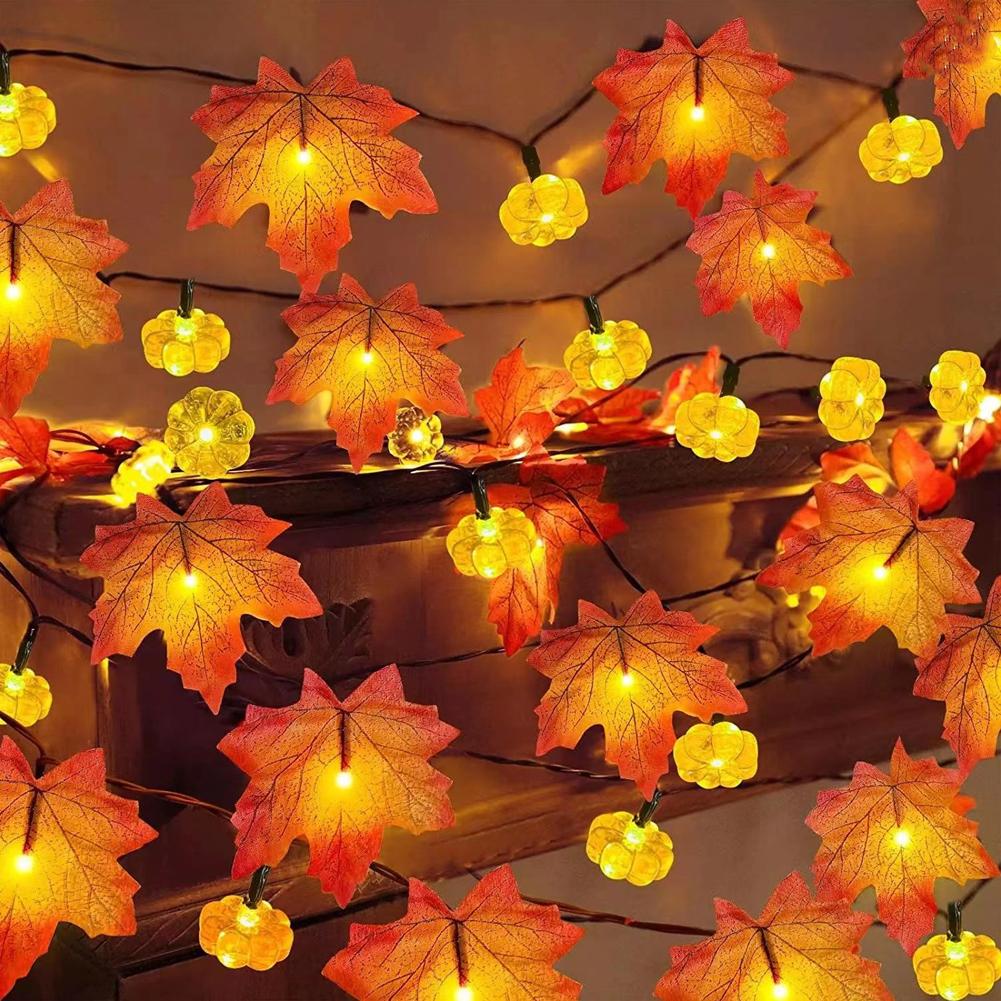 LED 단풍잎 플랫 호박 스트링 라이트 배터리 구동 요 - Outdoor Lighting Battery Operated 리뷰 및 가격